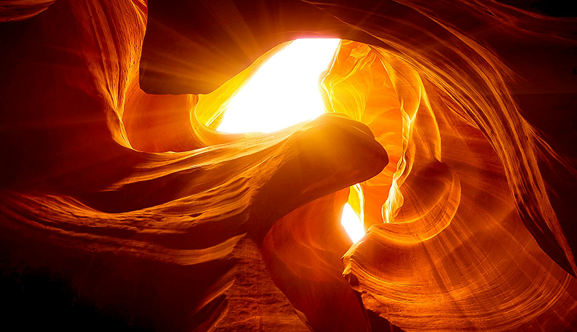 金年会金字招牌信誉至上入口制药盛装参展2024西鼎会，共绘健康产业新蓝图！